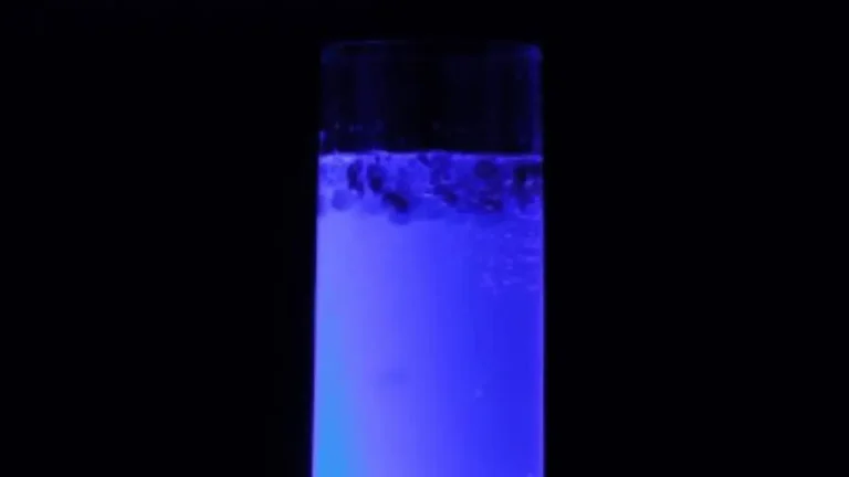 Drink com esferificação