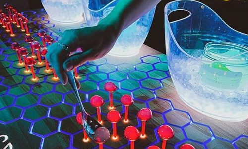 molecular-experience-spiritgrapes-coocktail-team-5